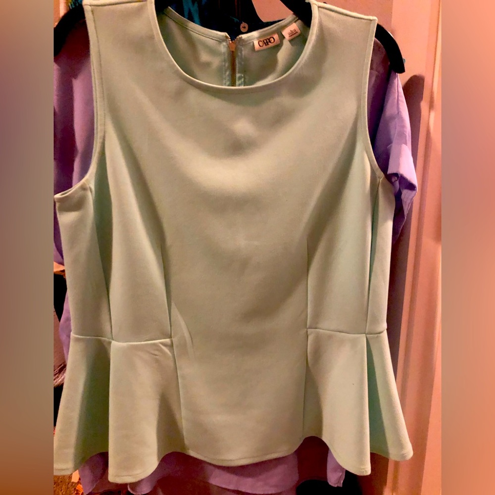 Woman’s “Cato” Blouse like new size Large